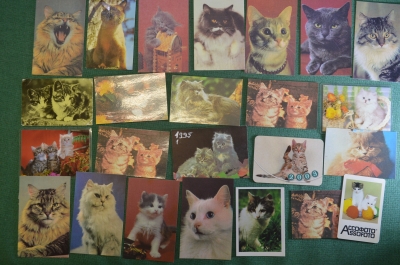 Календарик карманный "Кошки, коты и котята". Подборка, 24 штуки. #S5
