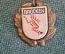 Знак значок. Гора Броккен. Brocken. Ведьма. Шабаш. Германия. 1960е.