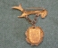 Знак значок. Гора Броккен. Brocken. Ведьма. Шабаш. Германия. 1960е.