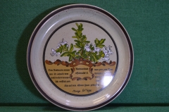 Тарелка керамическая "Розмарин .Rosmarinus officinalis". Растения, цветы. Керамика, авторская. 