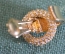 Серьги клипсы дизайнерские. Grosse. Christian Dior. Винтаж. Германия. #U 1 9