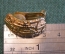 Серьги клипсы дизайнерские. Christian Dior. Винтаж. Германия. #U 4 9