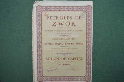 Зворская нефть (Petroles de Zwor). Акция на 100 франков, с купонами. Звор, Польша, 1924 год.
