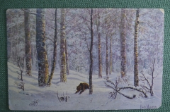 Открытка старинная Графъ Муравьев "Медведь удирает". № 1557. Издание "Ришаръ". Петроград.