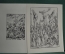 Гравюры и ксилографии, Lucas Cranach. Лукас Кранах Старший, 1974 год, Дрезден, Германия