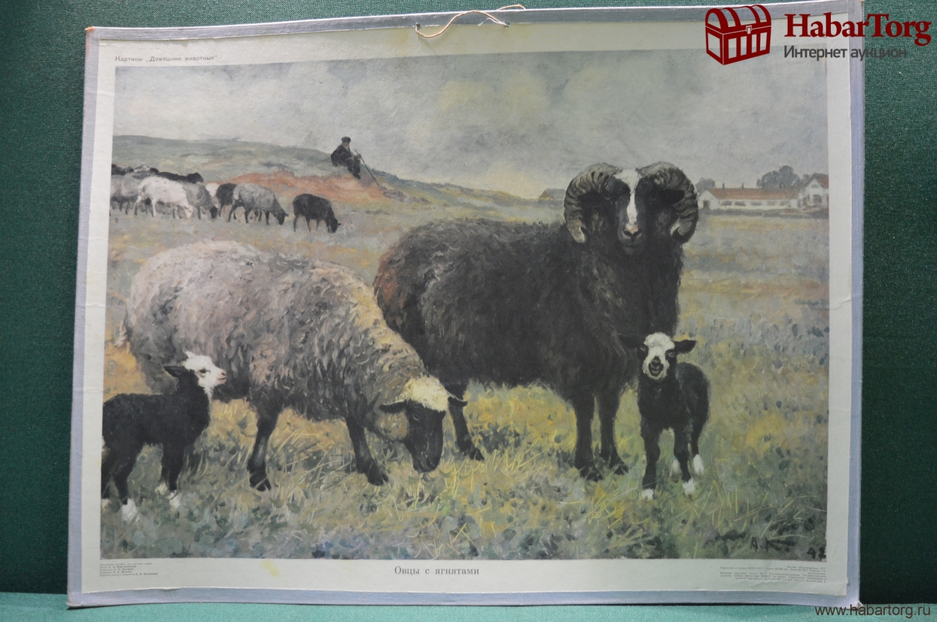 Картины Веретенникова домашние животные