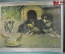 Советский плакат "Собака с щенятами", Серия "Домашние животные". Издательство "Просвещение" 1977 г.