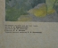 Советский плакат "Осел, Ослы", Серия "Домашние животные", Издательство "Просвещение" 1977 г.