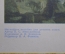 Плакат Слоны" (серия "Дикие животные"). 1966 год, издательство "Просвещение", СССР.