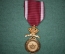 Медаль за достижения в прогрессе, Бельгия