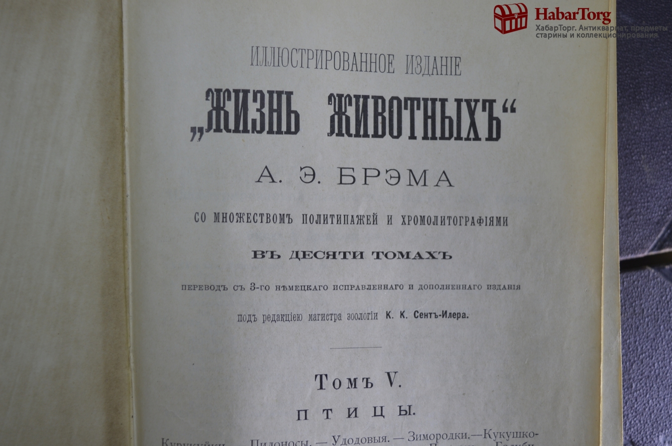 Книга Серафимович 1911 Год Простая Жизнь Купить