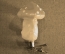Игрушка елочная на прищепке "Гриб мухомор", СССР, 1960-е годы.