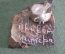 Сувенир Питерский, Птичка в шляпе и галстуке. Металл, природный камень.